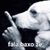 fala baxo zé