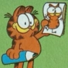 Garfield Cat 25