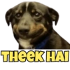 THEEK HAI