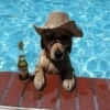 Corona Exery