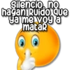 Silencio, no hagan Ruido que ya me voy a mataR
