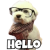 HELLO