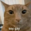 soy gay