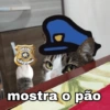Chicória Maria #3 26