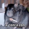 a conra zon