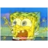 SpongeBob random 29
