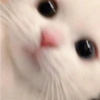 ★ Animalitos graciosos ★ 9