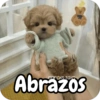 Reacciones Perritos coquetos 🐶 5