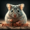 VAAMOS BRINCARR