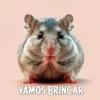 YAMOS BRINCAR