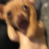 417