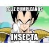FELIZ CUMPLEAÑOS INSECTA mamagar.nat