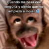 🙊😜🔥 Funny Monkey 🔥😜🙊 21