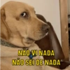 NÃO VI NADA NÃO SEI DE NADA