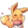 Gatos/Pokémon  24