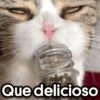JOJO Que delicioso