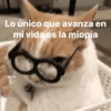 Lo único que avanza en mi vida es la miopía Michi