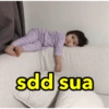 sdd sua