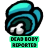 DEAD BODY REPORTED