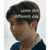 same shit different day