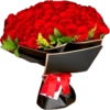 🎺Mariachi Gato🐱 💐Ramo Buchón🌹 8