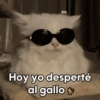 Hoy yo desperté al gallo