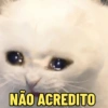 NÃO ACREDITO