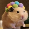 HAMSTER 19