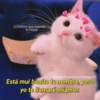 Gatitos para pareja 10