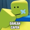 DAHLAH CAPEK