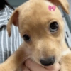 Reações dos animais 😂 5