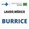LAUDO MÉDICO SINCERO 📝🩺 5