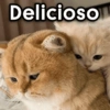 Delicioso JOJO