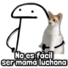 No es fácil ser mamá luchona