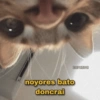 noyores bato doncrai Zarazua