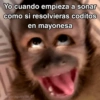 🙊😜🔥 Funny Monkey 🔥😜🙊 14