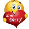 I'm sorry