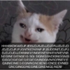 HHHSKDKWIDJFJEISJDJSJDJJDJDRJJDJDJD JDJDJDJFJFJGNTKIDNSNFJFJSJDDNITJDJFJ DJDJDJDJJDKNNIGEINGEINEVINIEIVNIEVN8 NEGINEGIENGEIG SGI SIGNIGSNDIGNISGNIS GISGIDGIEGIEGIEGIEGNINDGIVNRORNEVIE GNINIEINIEGIEGNINGNEIIENGIENCE EVNIEI GNEGINGEINEGINEGINENIGEINENI
