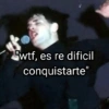 "wtf, es re dificil conquistarte"