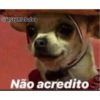 @josephlobatoo Não acredito