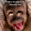 🙊😜🔥 Funny Monkey 🔥😜🙊 22