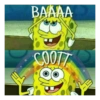 ΒΑΛΑΑ COOTT •