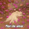 Gatitos de amor 😺💘💞 2