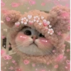 Gatitos de amor 😺💘💞 13