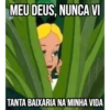 MEU DEUS, NUNCA VI TANTA BAIXARIA NA MINHA VIDA