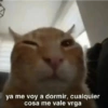 ya me voy a dormir, cualquier cosa me vale vrga