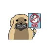 Dog 10