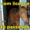 Reações + cavalos 🐎 16
