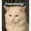 /merenung/