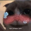 Smile cat ~ 8